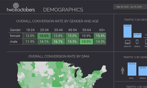 demographics template for two octobers website cropped
