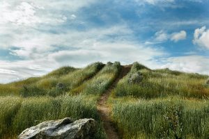 grassy hill with blue sky