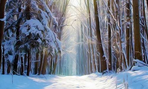 painting of snowy forest path