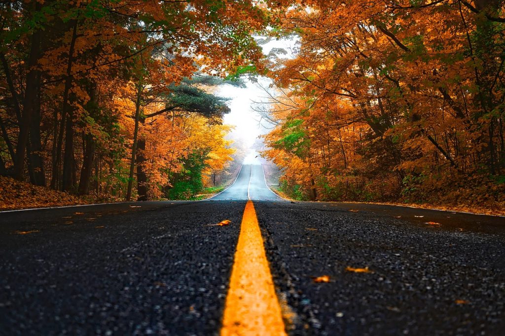 A low shot of an empty road surrounded by autumn foliage