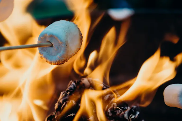 marshmallows on a campfire