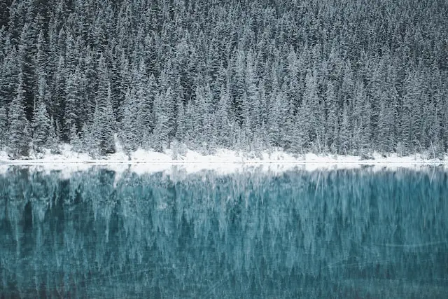 jonny caspari TQGpLw48VsU unsplash