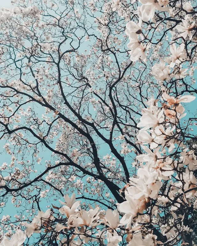 meric dagli 7NBO76G5JsE unsplash 1