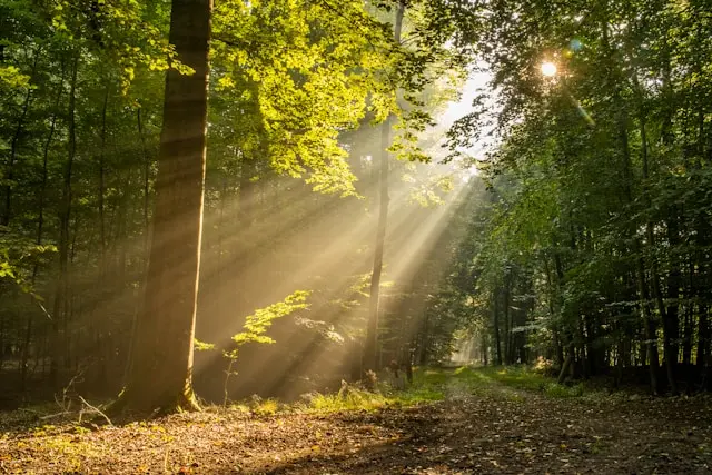 michael held 6fRHGqbp1 4 unsplash