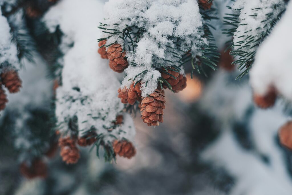 libby penner hlZyZ838h0g unsplash 1