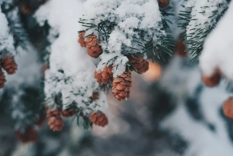 libby penner hlZyZ838h0g unsplash 1 scaled 1