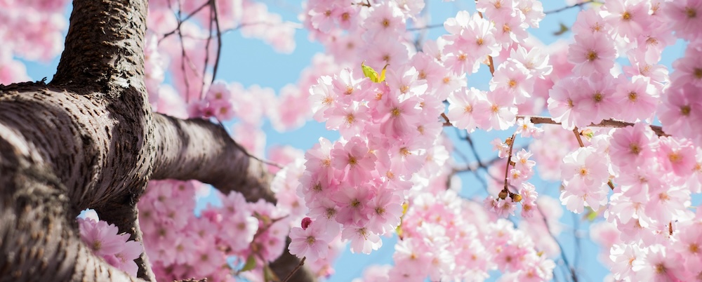 arno smit sKJ7zSylUao unsplash 1