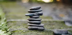 cailin grant jansen z sksj6IsA unsplash