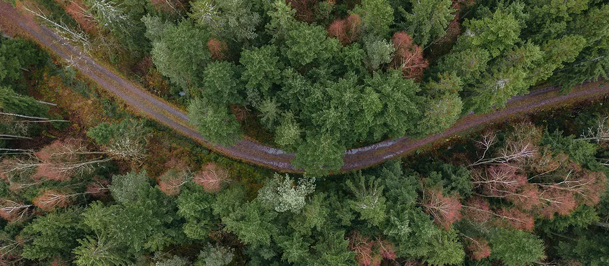 Two Octobers