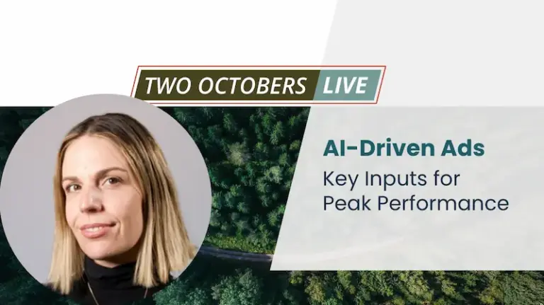 Key Inputs for AI Driven Ads TO Live 1