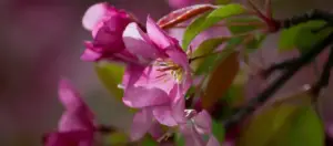 jeffrey hamilton 0QoSk3jDtQo unsplash